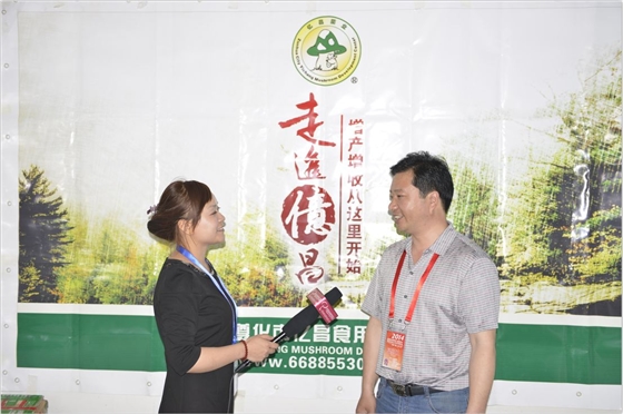 2014.05.11鄭州會議期間：中國食用菌商務網記著采訪億昌菌業(yè)張東平-億昌菌業(yè).JPG