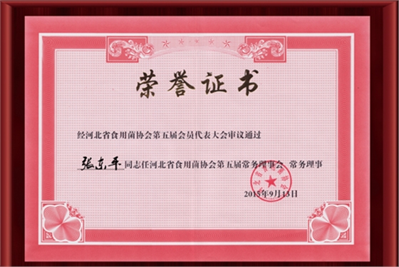 2015河北省食用菌協(xié)會(huì)第二屆會(huì)員代表大會(huì)-榮譽(yù)證書（正文）.jpg
