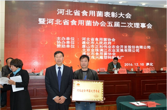 河北省食用菌協(xié)會(huì)會(huì)長孫利英（左）為張東平頒發(fā)&ldquo;河北省食用菌優(yōu)秀專家&rdquo;榮譽(yù)牌匾.JPG（截屏）.JPG