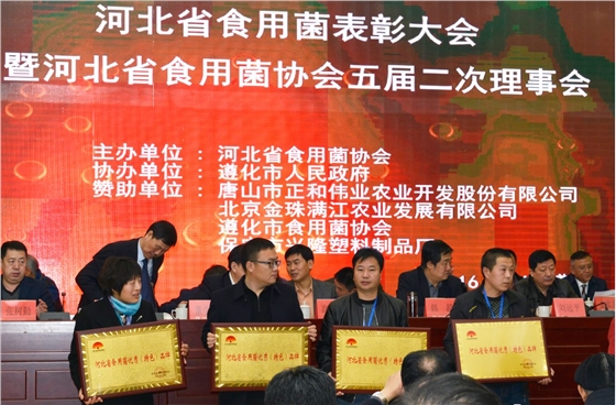 2016.12.10&ldquo;億昌菌業(yè)&rdquo;被授予&ldquo;河北省食用菌優(yōu)秀（特色）品牌&rdquo;榮譽(yù)稱號，張東平（左三）接授截屏.jpg