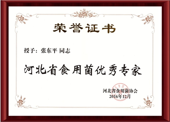 2016河北省食用菌優(yōu)秀專家-億昌菌業(yè)（截屏）.jpg