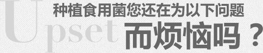種植食用菌您還在為以下問(wèn)題而煩惱嗎？