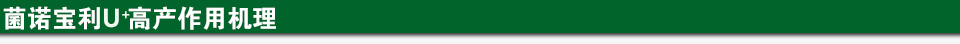 菌諾寶利U+高產(chǎn)作用機(jī)理.jpg