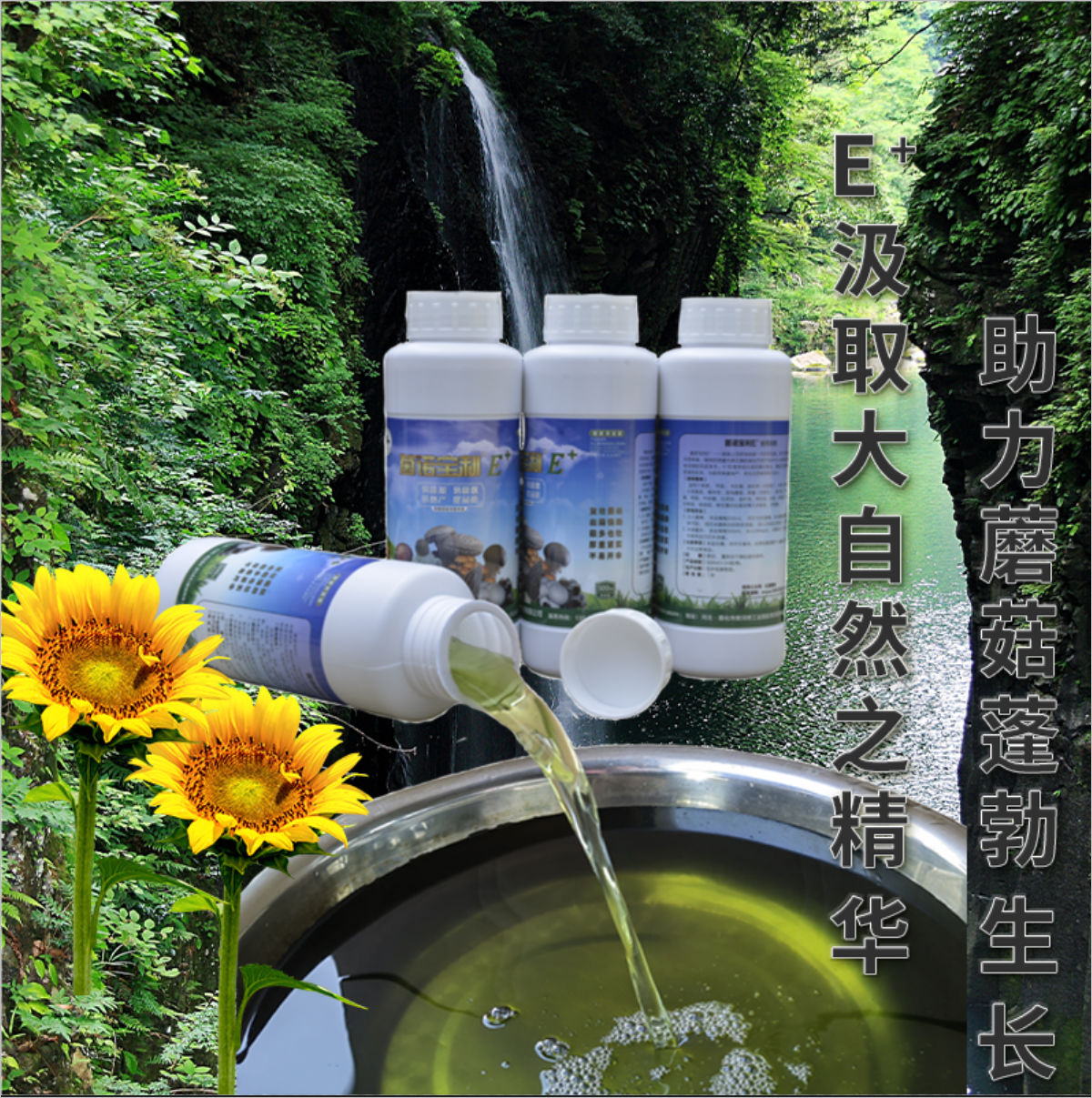 菌諾寶利E+（網(wǎng)頁-12）E+汲取大自然之精華，助力蘑菇蓬勃生長