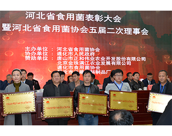 遵化市億昌食用菌科技有限公司被授予“河北省食用菌產(chǎn)業(yè)扶貧突出貢獻(xiàn)單位”榮譽(yù)，張東平（中）接授牌匾