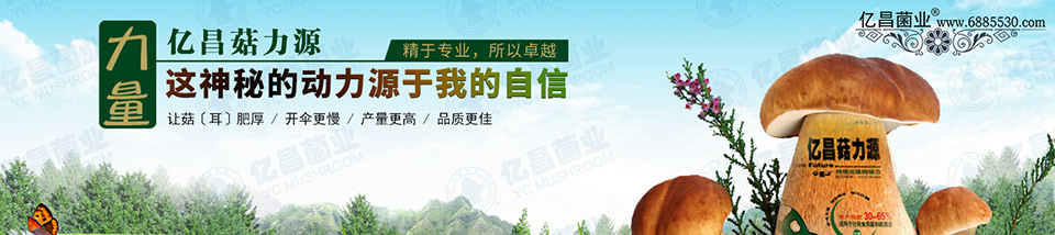億昌菇力源——讓菇（耳）肥厚、開傘更慢、產(chǎn)量更高、品質(zhì)更佳