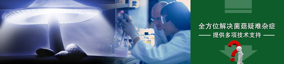億昌菌業(yè)——全方位解決菌菇疑難雜癥