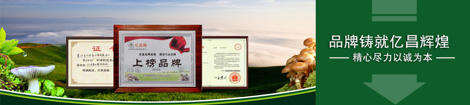 精心盡力以誠為本，品牌鑄就億昌輝煌！